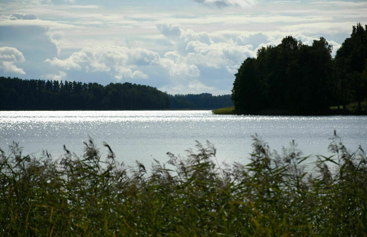 Latvijā no ūdenstilpēm izcelti divi bojāgājušie