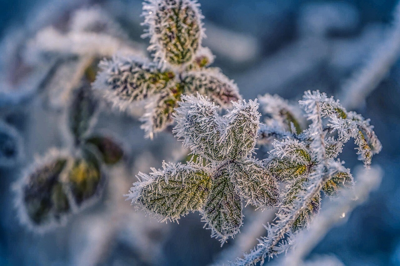 Latgalē gaisa temperatūra vēlreiz noslīdējusi līdz -6 grādiem