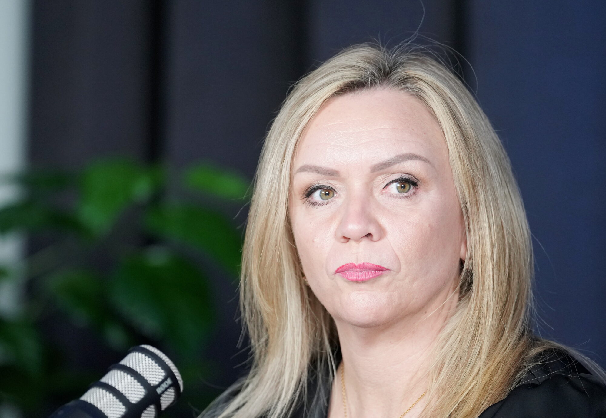 Politoloģe: Visticamāk, ka būtiskas pārmaiņas valdībā līdz Saeimas vēlēšanām nenotiks