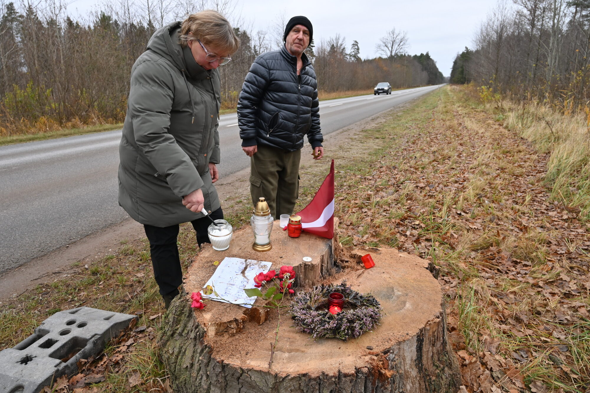 Foto un video: Nozāģēts simtgadīgs ozols Kapsēdes ceļa malā – iedzīvotāji sēro un dusmojas, saucot to par “naudas slepkavību”