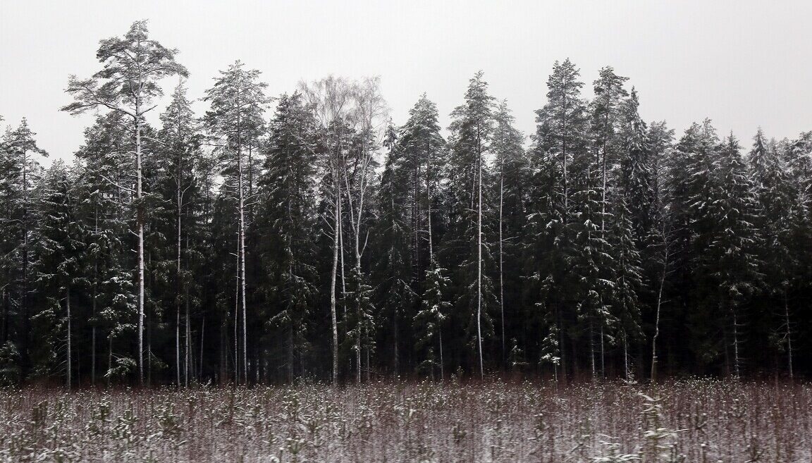 Tuvākajā nedēļā dažbrīd gaidāms sniegs, lietus un apledojums
