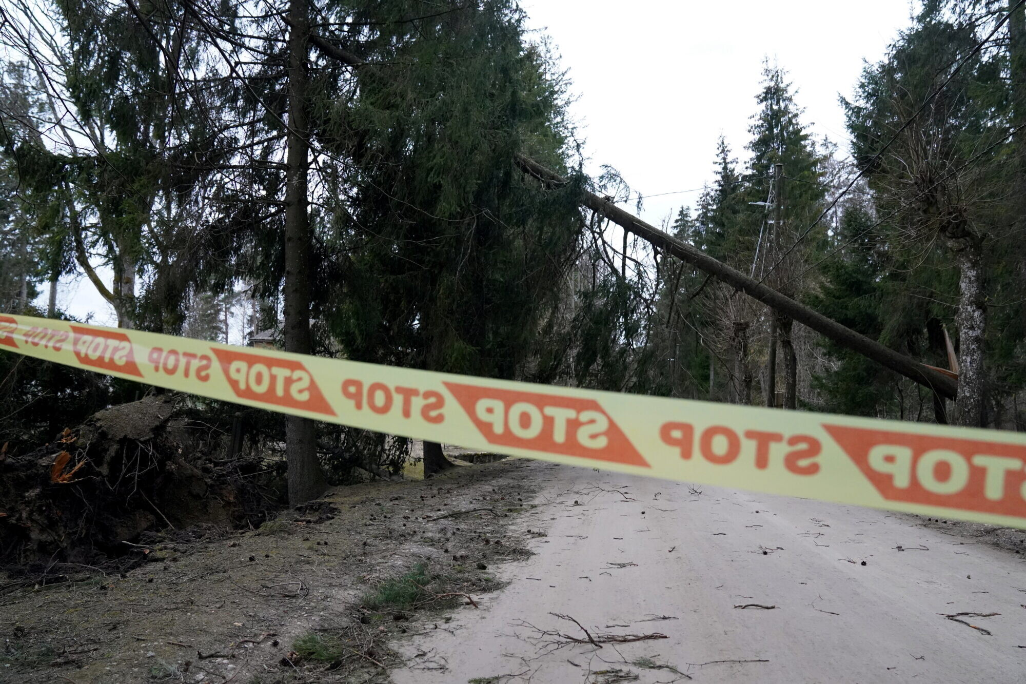 Izsaukumu skaits uz vētras postījumiem mazinājies, elektroapgādes traucējumus vēl turpina novērst