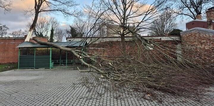 Glābējiem ļoti daudz darba, novēršot stiprā vēja radītos postījumus