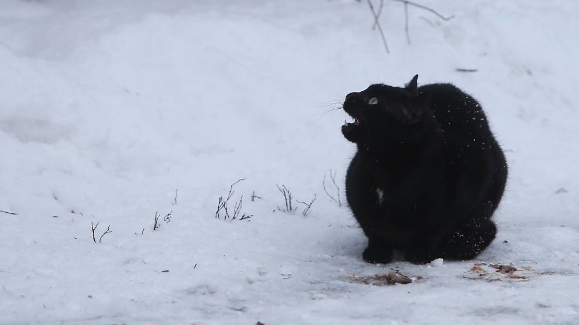 Zemākā gaisa temperatūra šonedēļ reģistrēta Rucavā, Stendē un Dobelē