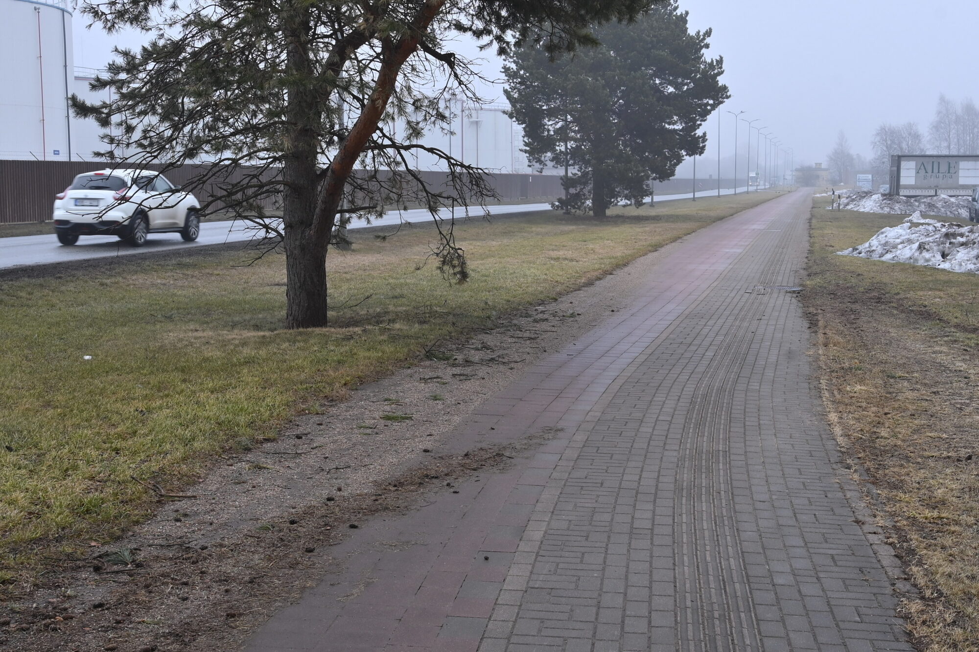Zaļais koridors sākas Pulvera ielā: Liepāja testē jaunu apzaļumošanas pieeju