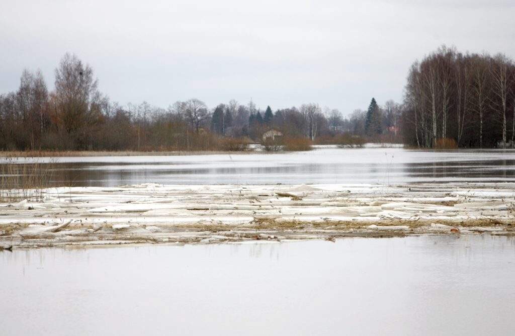 Sniega kušanas rezultātā Jelgavā applūdušas dažas palieņu zonas pie Svētes