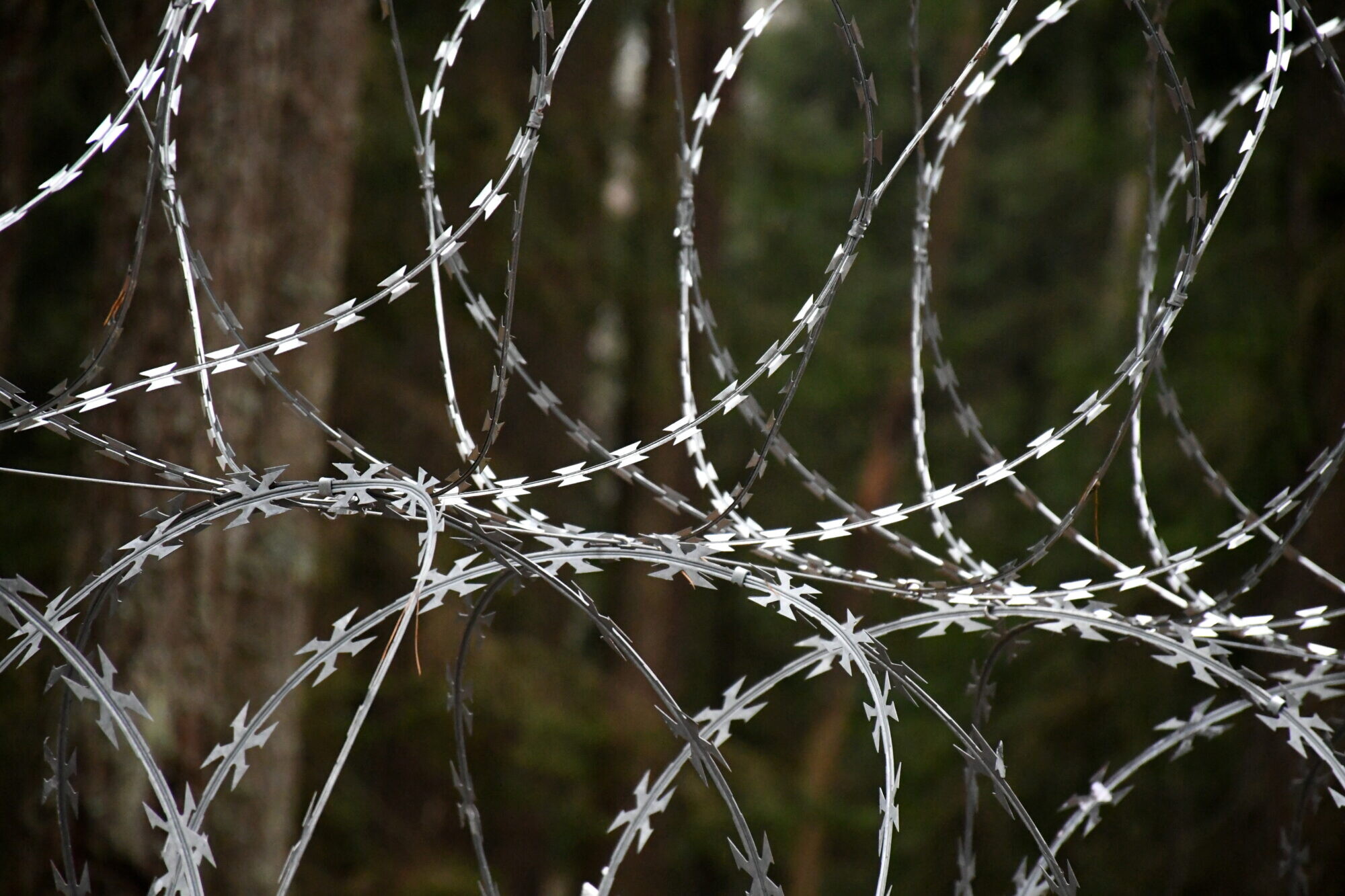 Vakar novērsti 37 migrantu mēģinājumus nelegāli šķērsot Latvijas robežu no Baltkrievijas