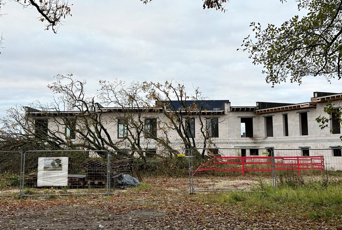 Par Mārupes dižozola nozāģēšanu vīrietim piespriež divu gadu probācijas uzraudzību un pienākumu atlīdzināt 27 500 eiro