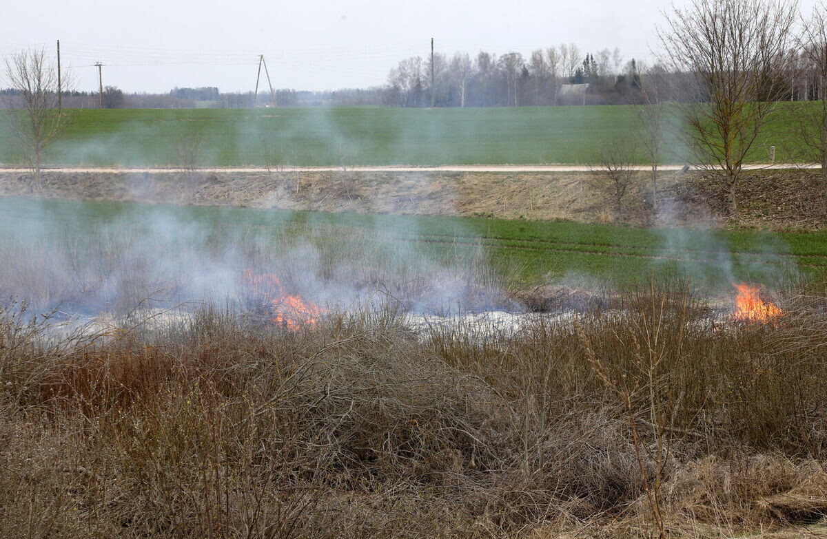 Pērnā zāle pārvēršas ugunsjūrā – Grobiņā plaši kūlas ugunsgrēki un degoša ēka