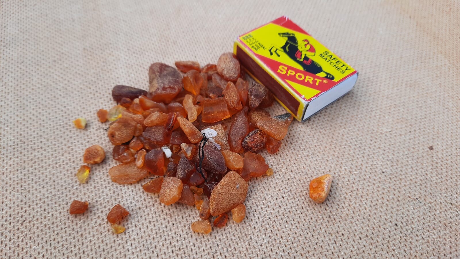 Foto: Dzintars, kas var apdedzināt. Papes liedagā atkal izskaloti fosfora gabali