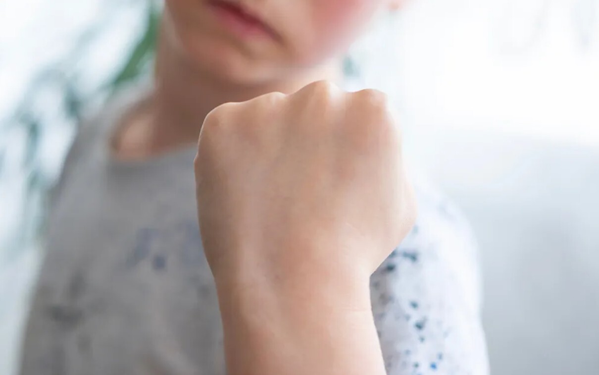 Pašvaldību un valsts iestādes mēģina atrisināt situāciju ar agresīvu skolēnu Ozolnieku vidusskolā