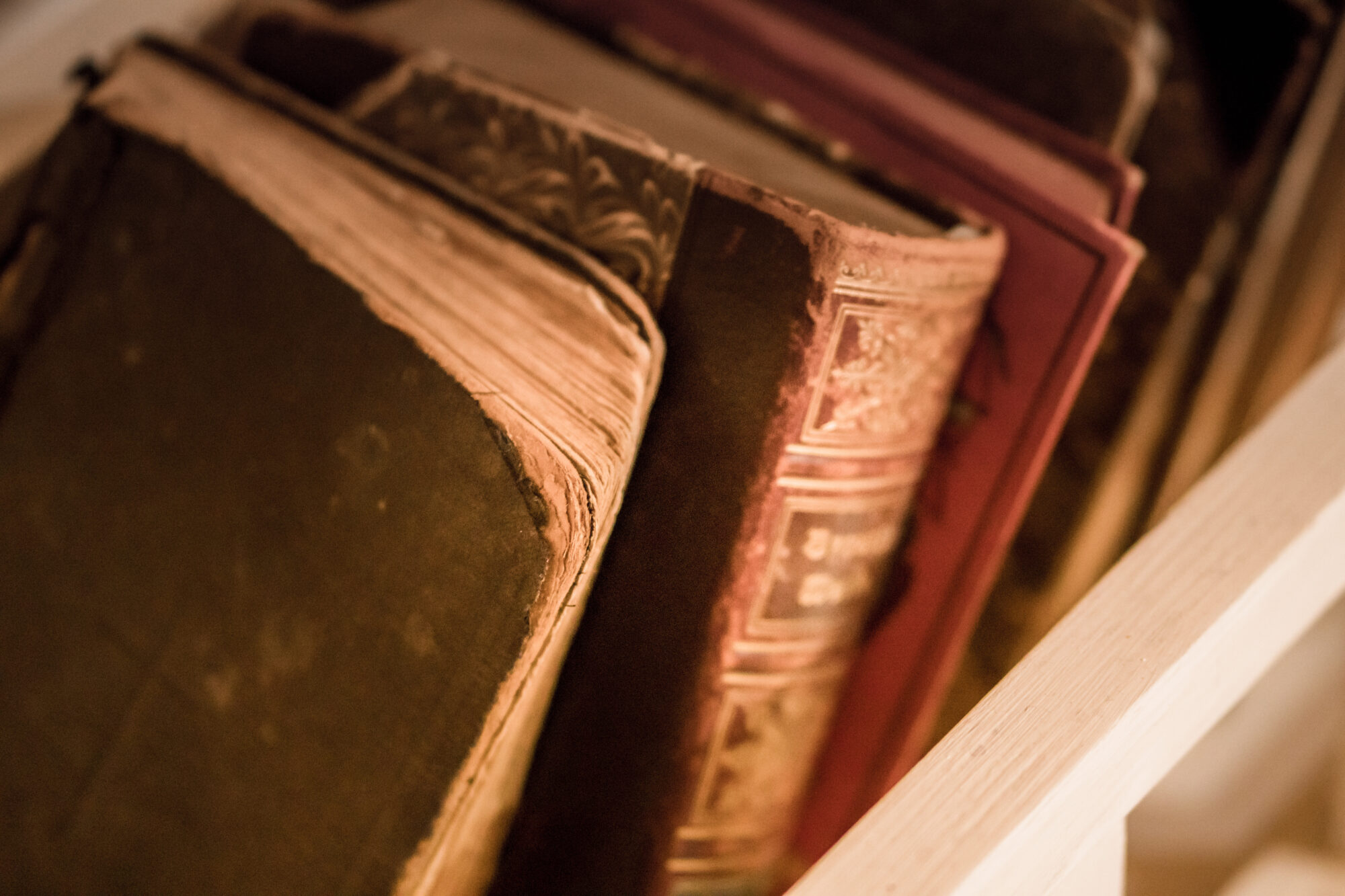 Bibliotēku nedēļas ietvaros uz pasākumiem aicina Dienvidkurzemes novada bibliotēkas