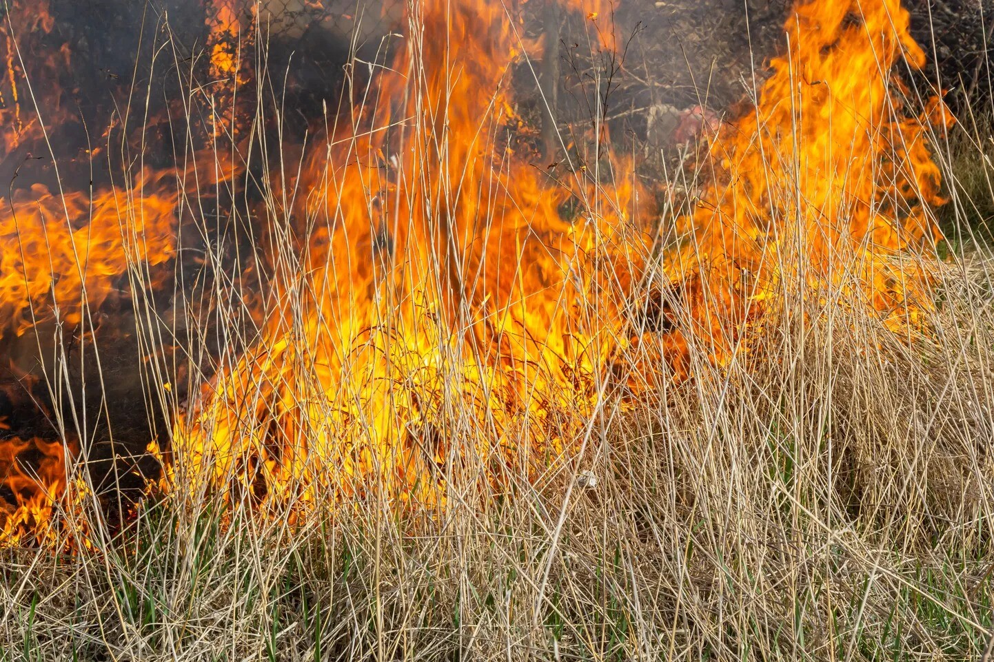 Sestdien dzēsti 37 kūlas ugunsgrēki, vairāki bijuši hektāriem plaši