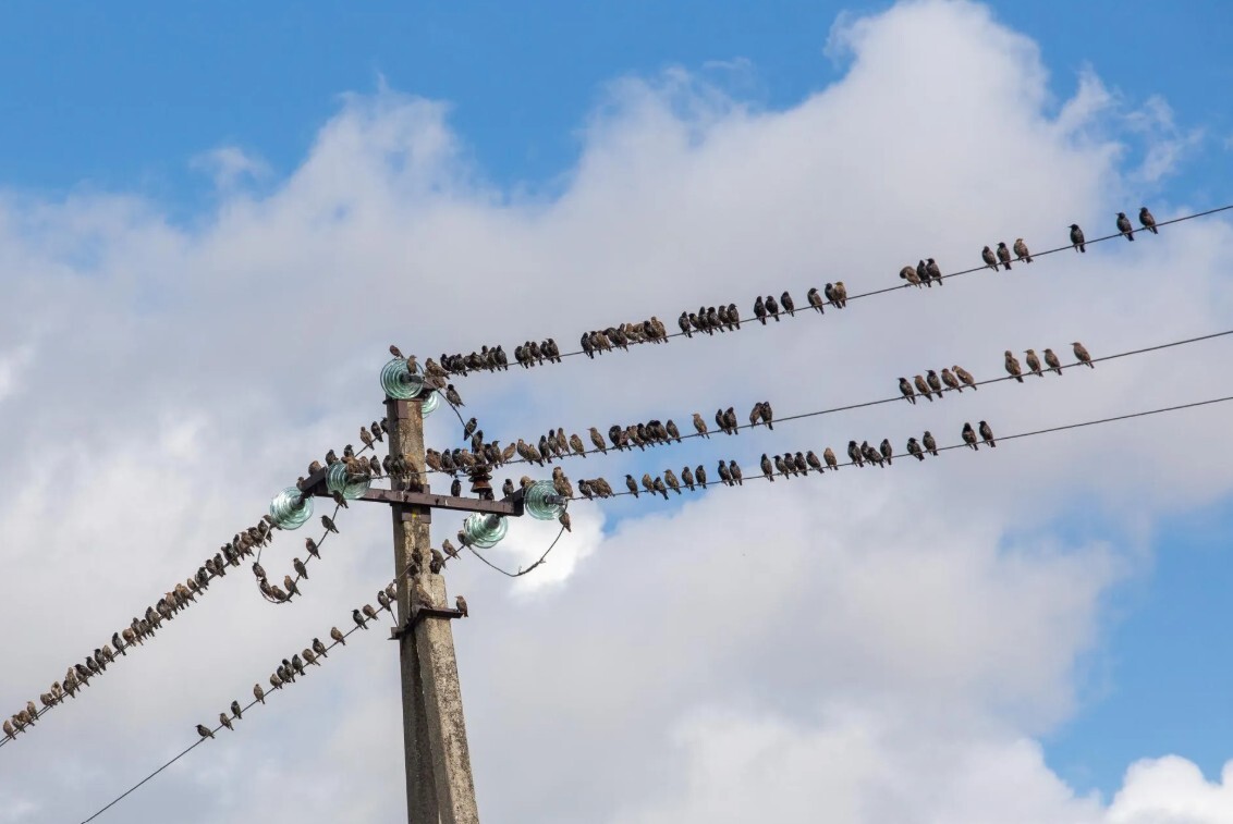 Latvijā elektroenerģijas cenas ziemā varētu pārsniegt 300 eiro par MWh