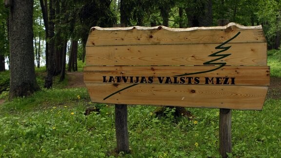LVM šogad plāno pārbūvēt meža ceļus 21,3 kilometru garumā