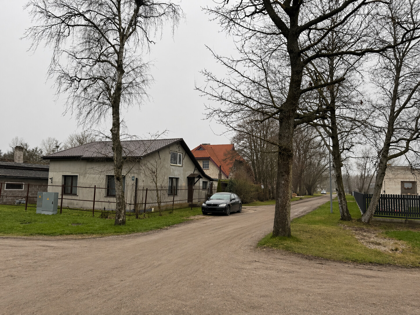 Jaunas ielas izbūvei Liepājā plāno nocirst astoņus kokus