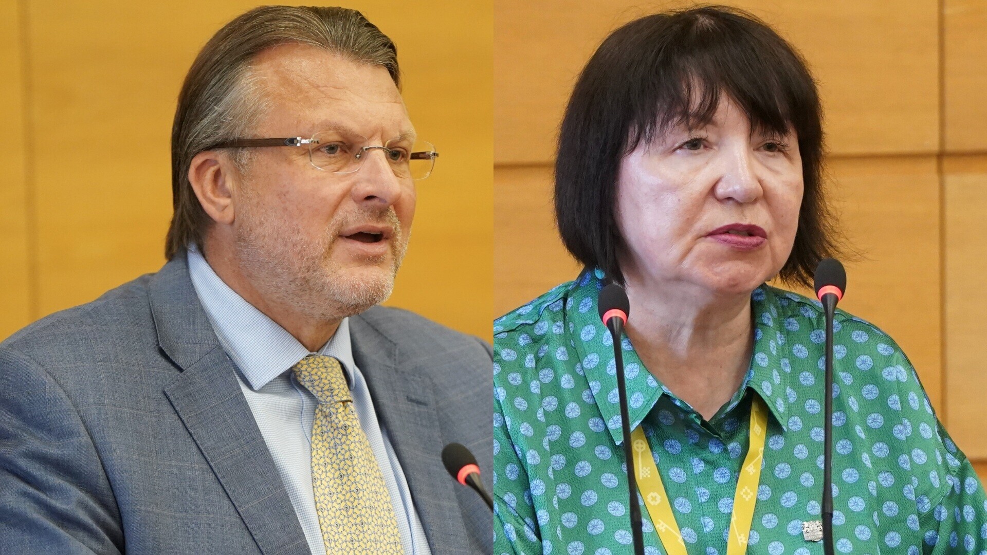 Šlesers kā nepatiesu un godu aizskarošu atsauc Langas nodēvēšanu par čekas aģenti