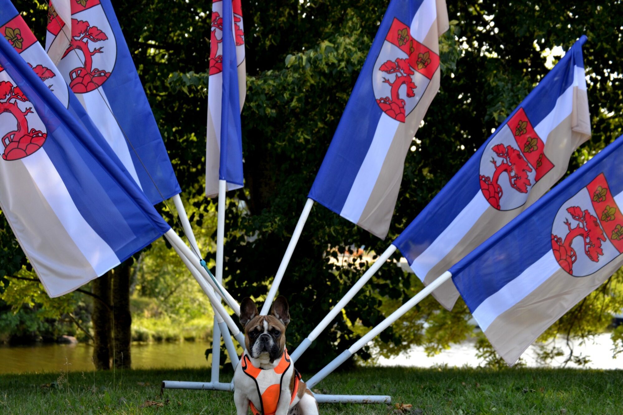 Pāvilosta svinēs pilsētas 147. jubileju