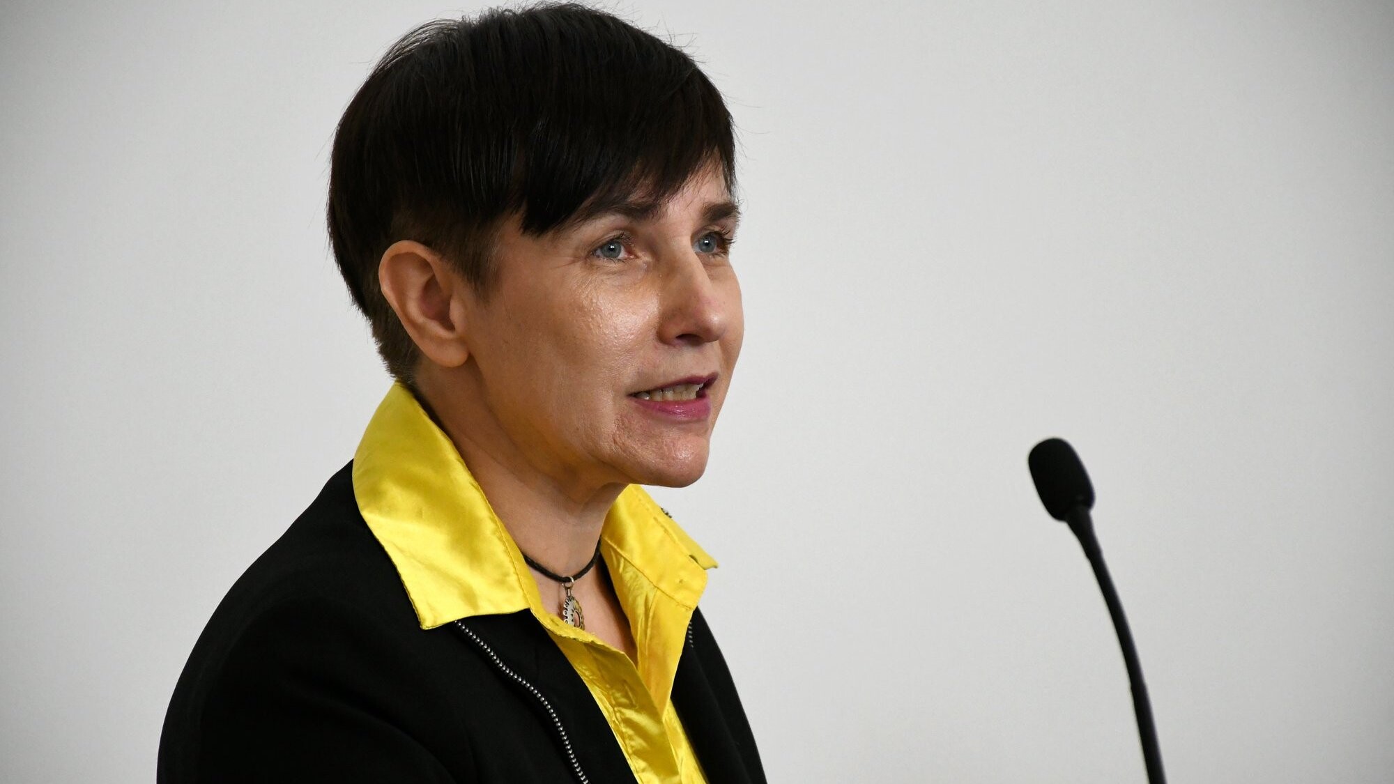 Šuplinska pārsūdzējusi spriedumu DU rektora vēlēšanu lietā