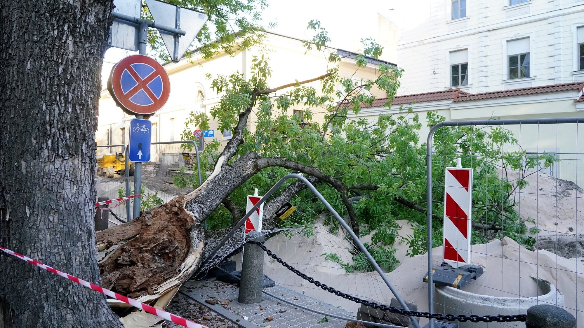 Spēcīga vēja postījumu dēļ aizvadītajā diennaktī saņemti 117 izsaukumi