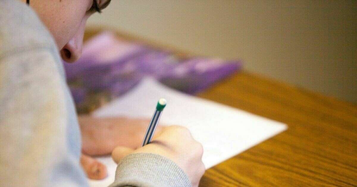 LPV rosina atļaut vecākiem izvēlēties bērniem pamatizglītību un vidējo izglītību apgūt tālmācībā
