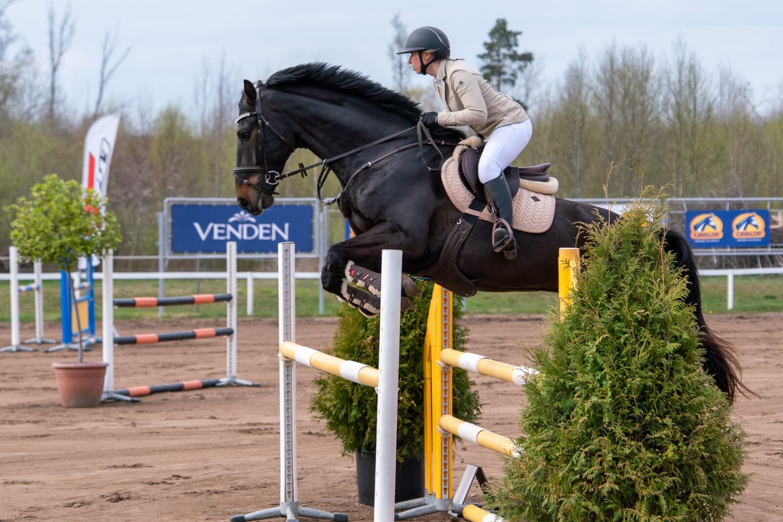 Grobiņā norisināsies jātnieku sporta sacensības “Jura staļļu kauss”