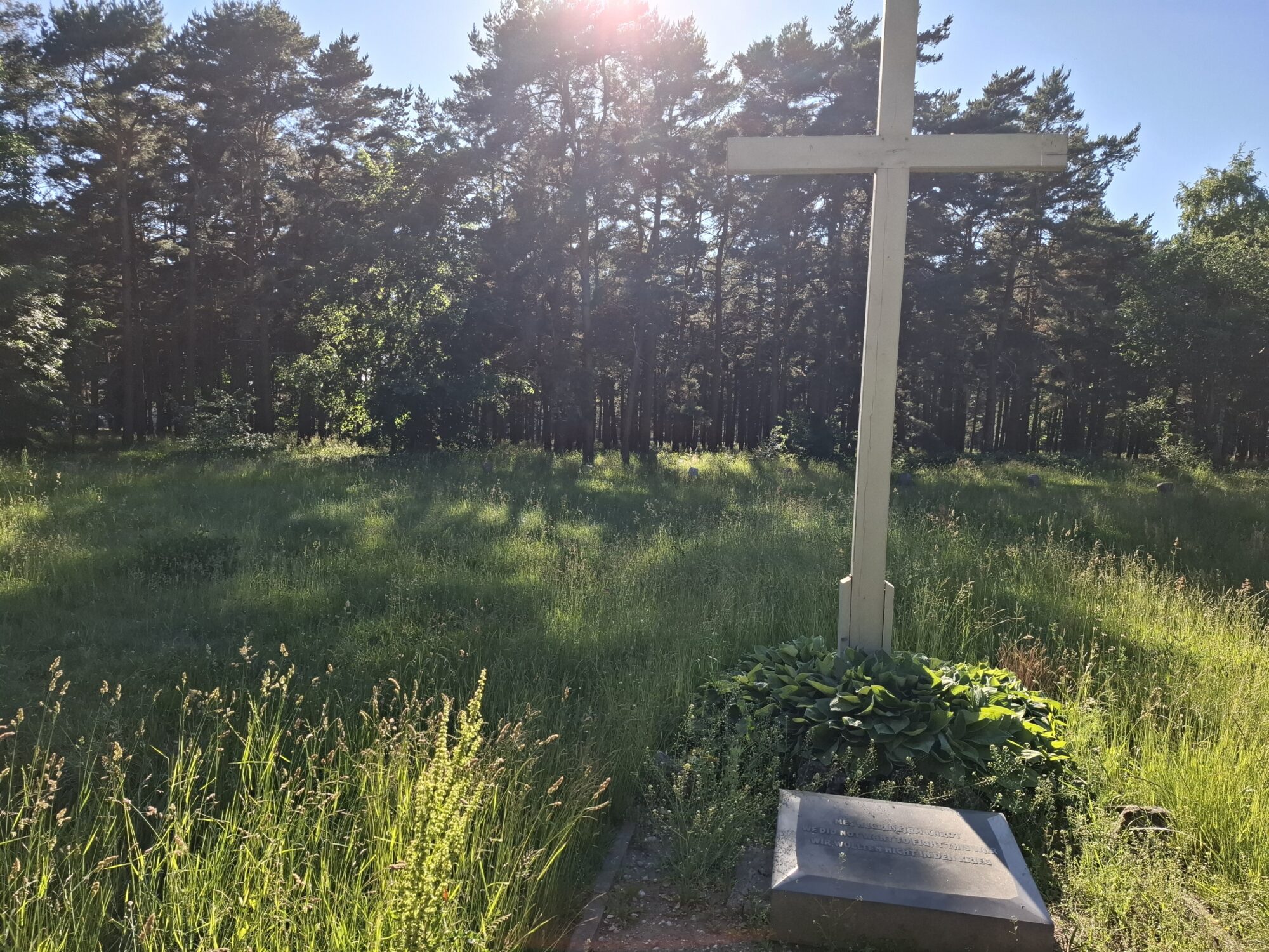 Nopļauta garā zāle kara upuru piemiņas vietā Karostā