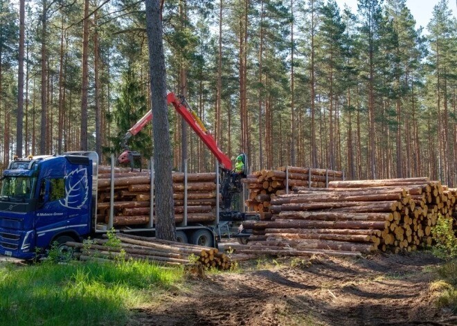 “R grupas” sūdzību LVM iepirkumā par kokmateriālu pārvadājumiem skatīs piektdien