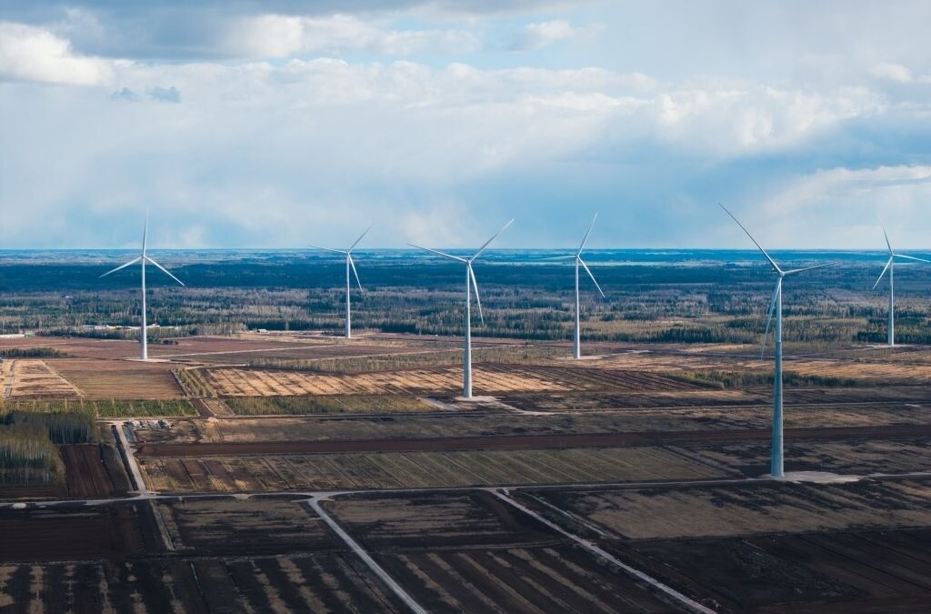 “Latvenergo” vēja parkā “Laflora Energy” jūnijā sāk pirmo putnu aizsardzības sistēmu ieviešanu