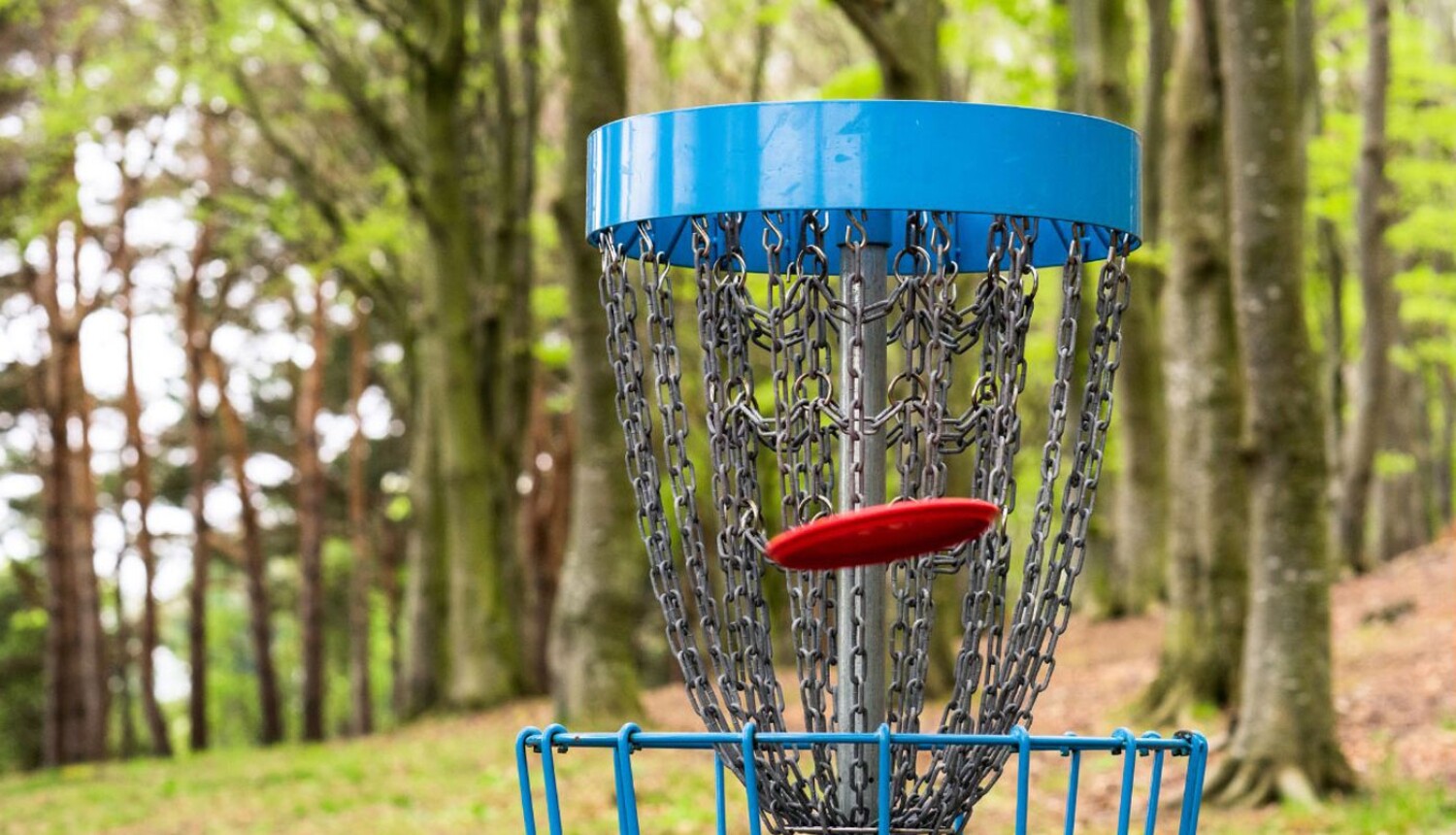 Vidzeme: Ik nedēļu trešdienās – Valkas Weekly disku golfs