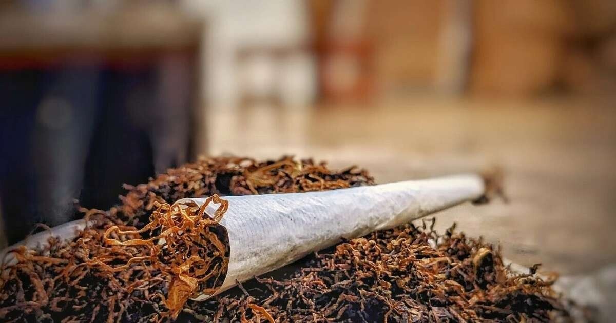 Saeima nelems par ierobežojumiem tabakas izstrādājumu ražošanas iekārtām