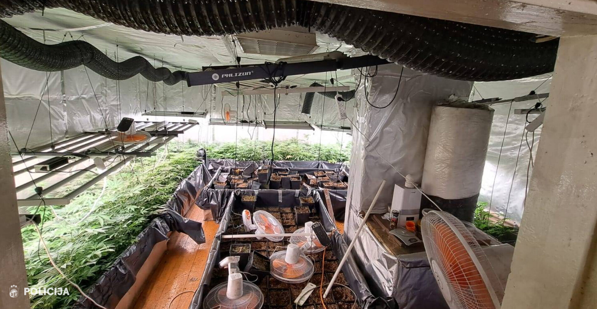 Policija Latgalē atklāj marihuānas audzētavas un izņem lielu daudzumu narkotiku un ieroču