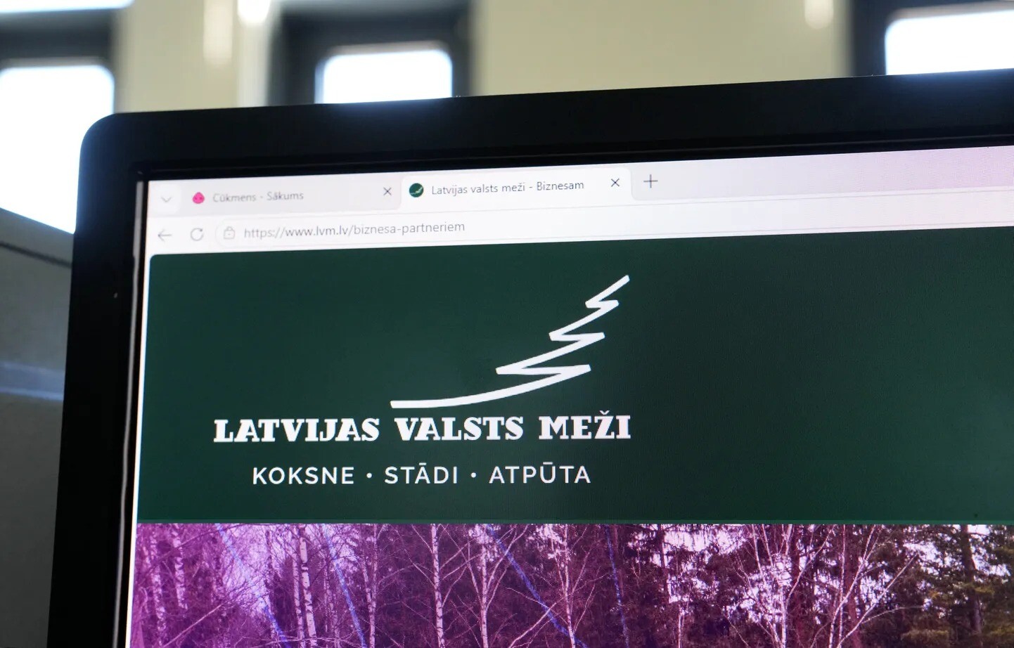 Kiberuzbrukumu īstenojušais hakeris par LVM datu atšifrēšanu sagaida vairāk nekā 600 000 eiro