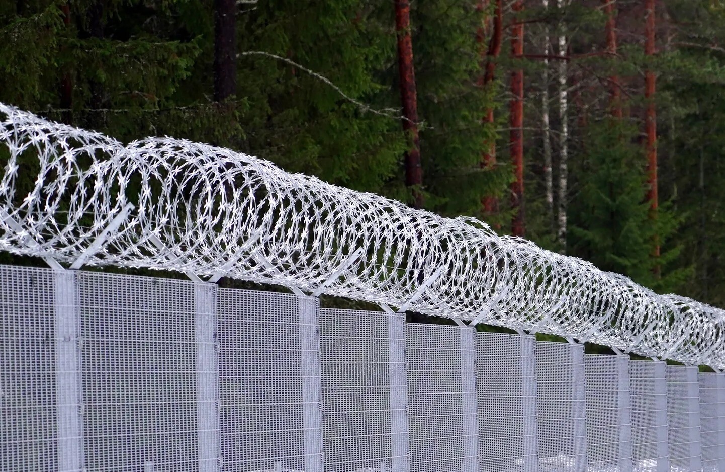 Agresīvu robežpārkāpēju apturēšanai karavīri izdara brīdinājuma šāvienu