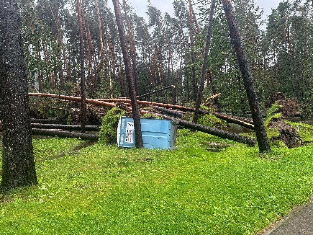 Glābējiem Latgalē daudz izsaukumu negaisā kritušu koku dēļ