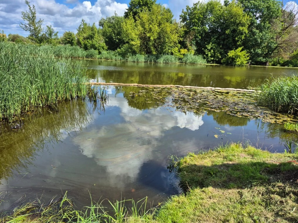 Driksas piesārņojuma seku likvidēšanas izmaksas pašvaldība plāno piedzīt no piesārņojuma avota īpašnieka
