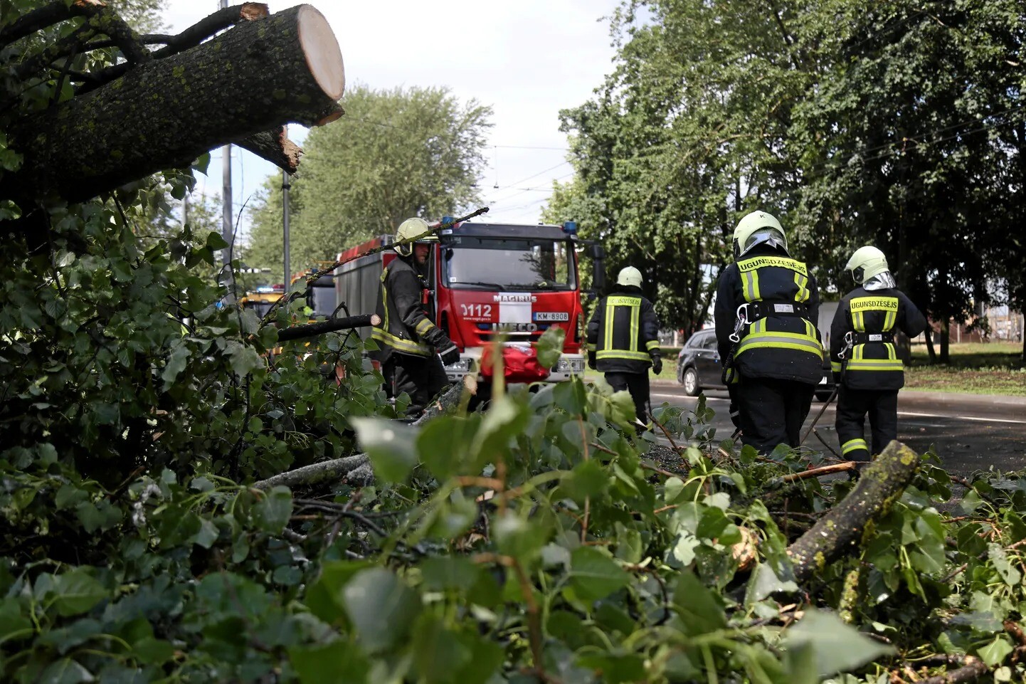 Glābēji saņēmuši 12 izsaukumus kokiem, kas uzkrituši uz ceļa