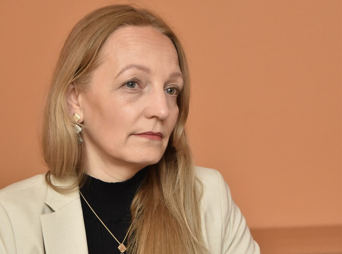 “Progresīvo” paspārnē Saeimas vēlēšanās kandidēs arī Dace Bluķe
