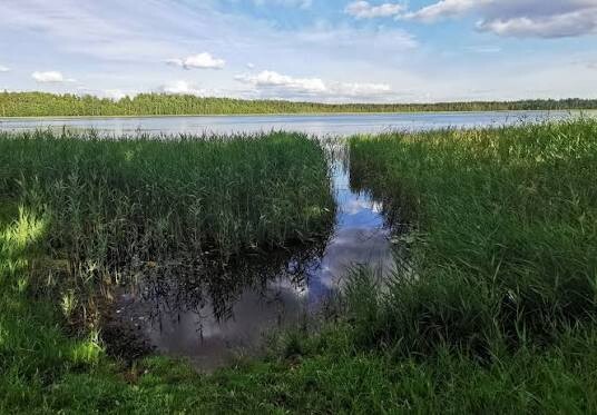 Vidzeme: Pie Ušuru ezera veidos labiekārtotu vidi