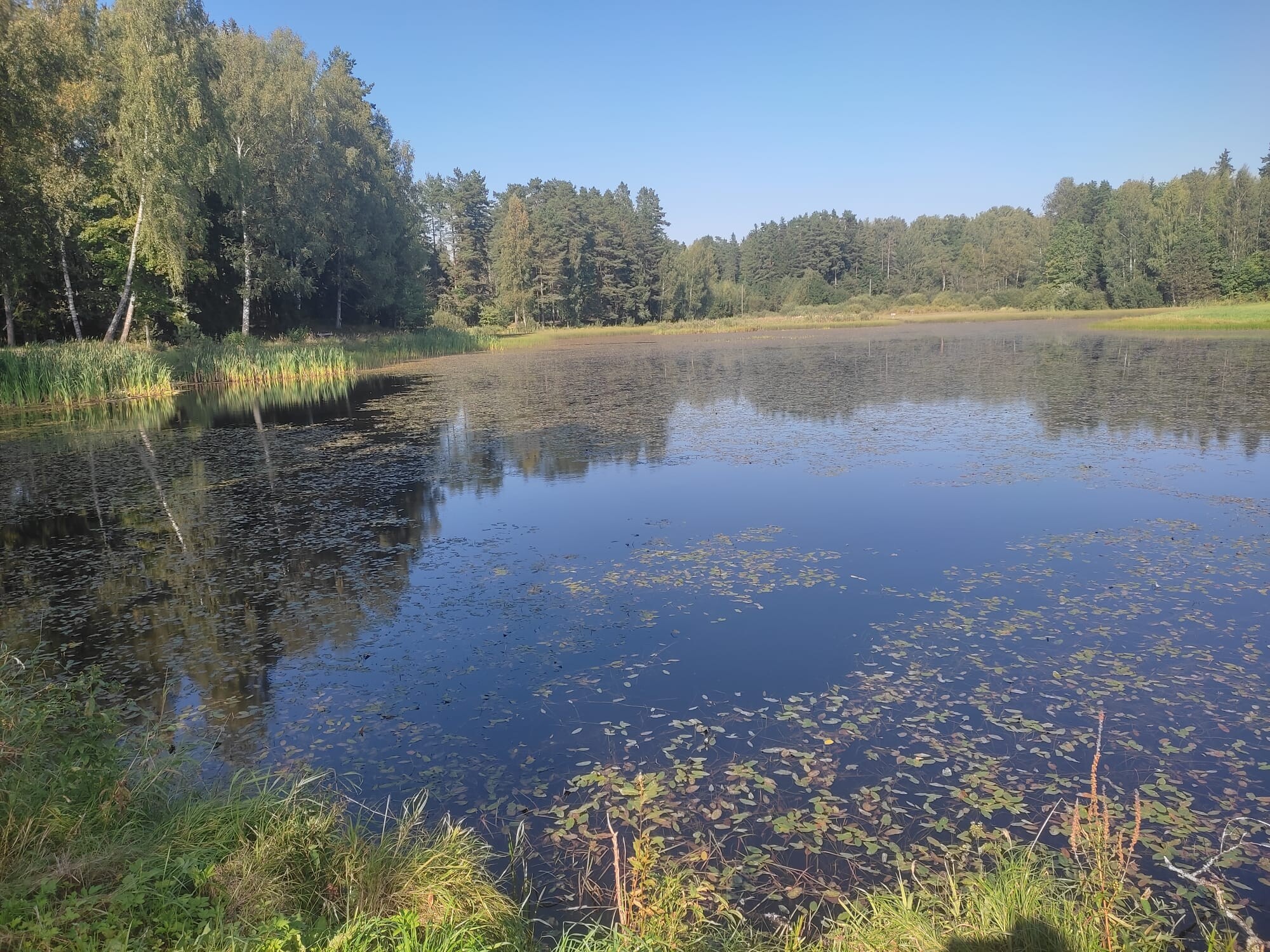 Vidzeme: Izstrādāts Siguldas novada Tautu dīķa labiekārtošanas būvprojekts