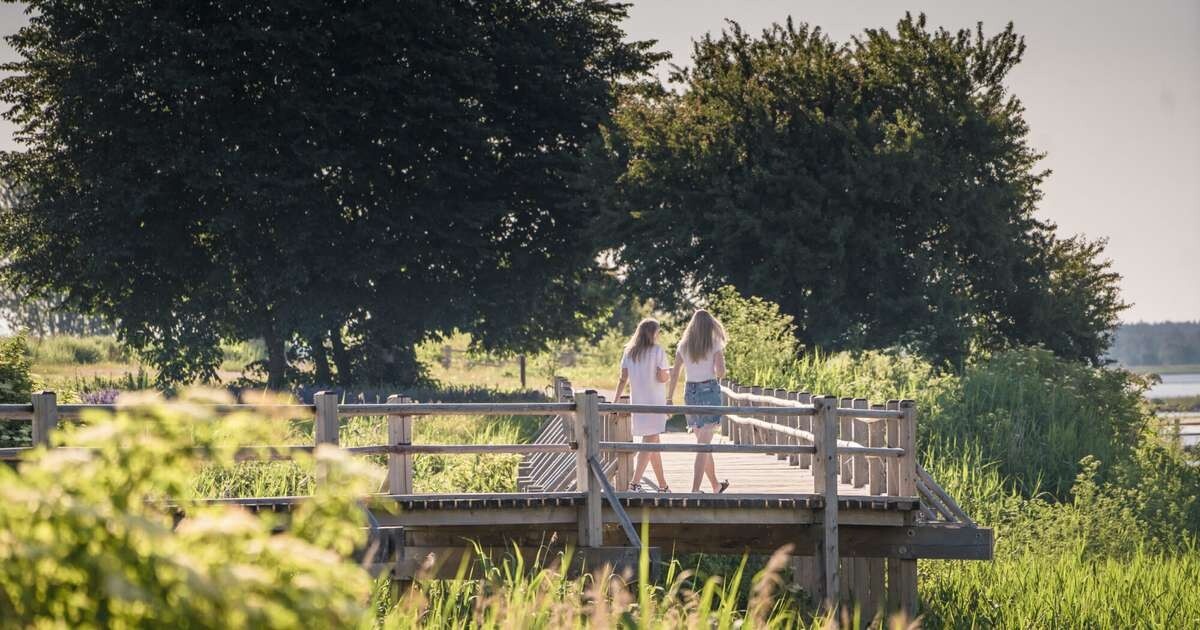 Septembrī Liepājā notiks seminārs par zaļās infrastruktūras plānošanu un apsaimniekošanu
