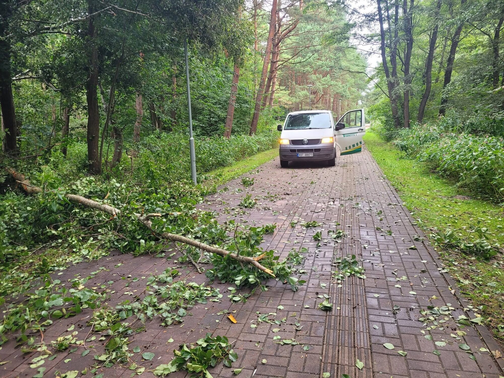 Liepājā negaisa postījumu maz: Nokrituši koki uz veloceļa, izskalotas tranšejas