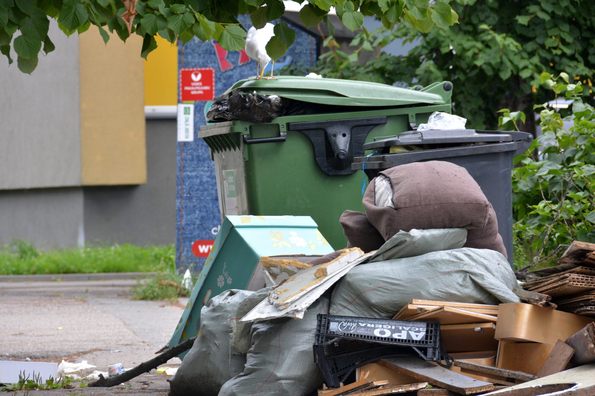 Liepājā notiks bezmaksas lekcija par atkritumu šķirošanu