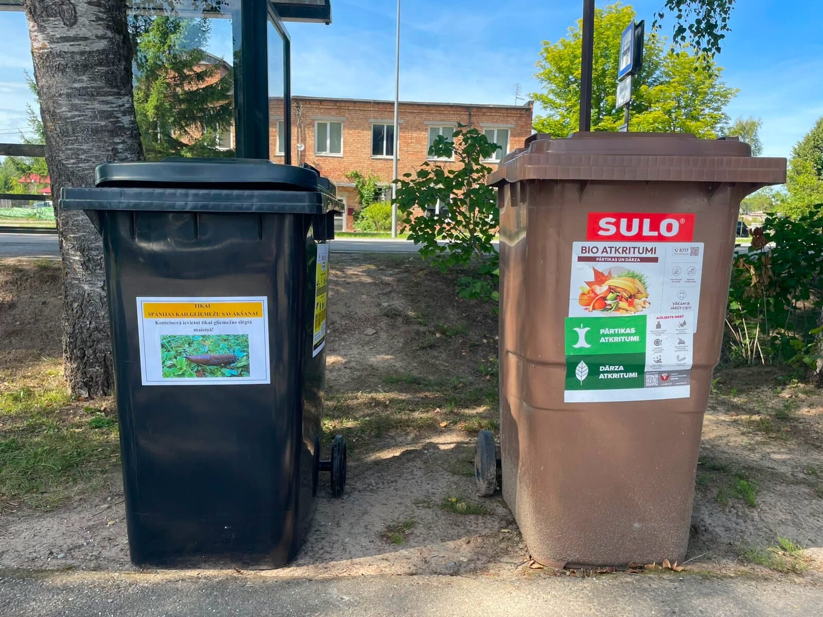 Kurzeme: Var nodot salasītos kailgliemežus