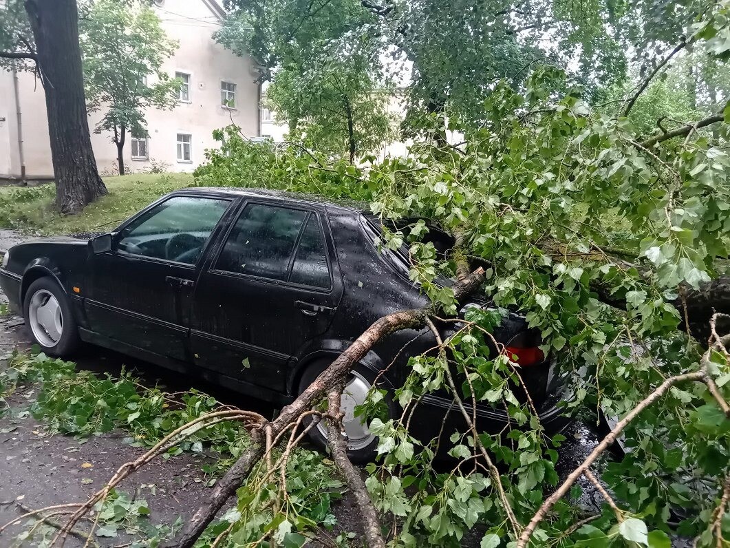 “Lielā talka” aicina palīdzēt līdzcilvēkiem vētras seku likvidēšanā