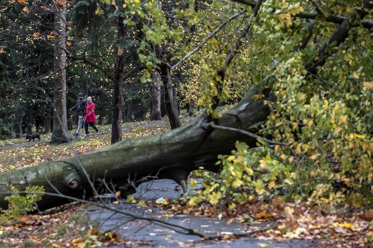 Visvairāk atslēgumu elektrotīklā reģistrēti Kurzemē
