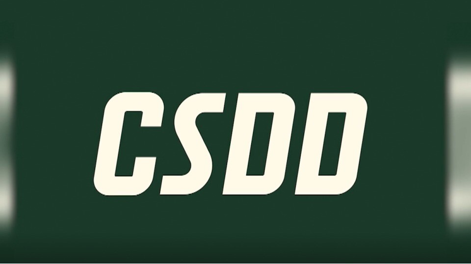 Kiberuzbrukums CSDD noticis caur direkcijas pārziņā esošu lietotni
