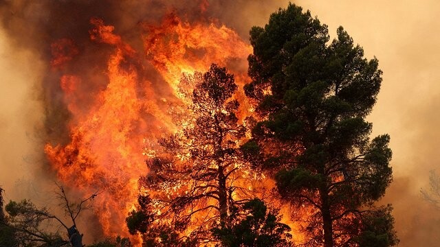 Grieķijā par ugunsgrēku izraisīšanu šogad aizturēts 281 cilvēks
