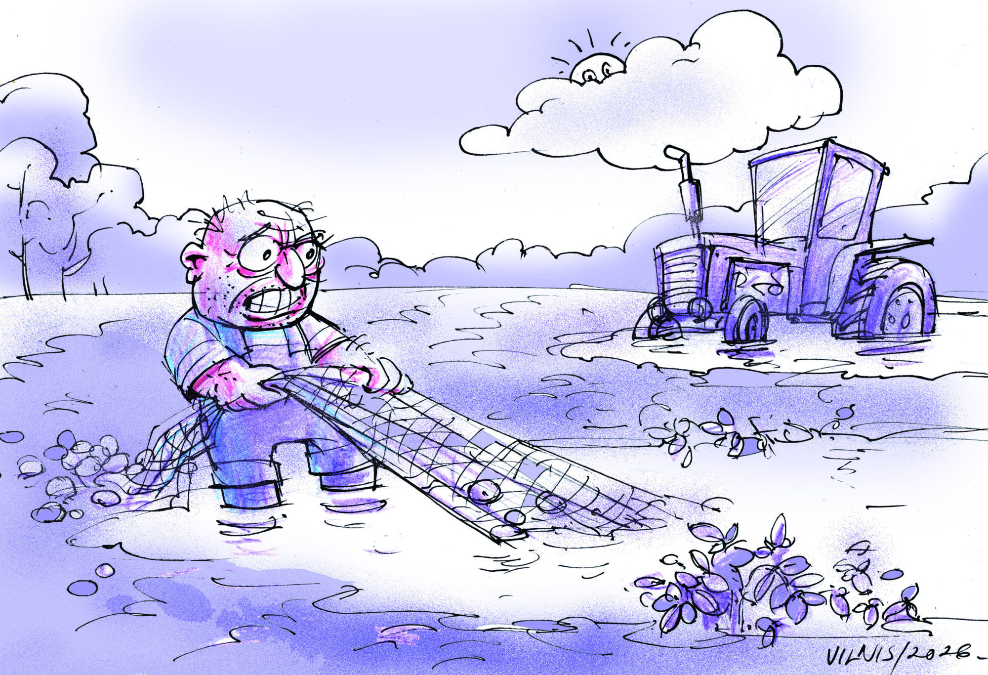 Karikatūra: Kartupeļu laiks