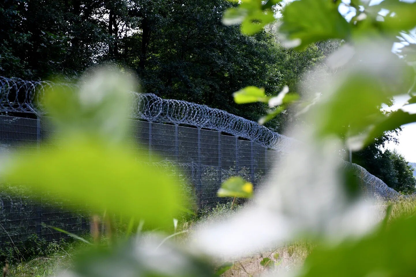 Igaunija uz Latviju nosūta sesto robežsargu un policistu maiņu cīņai ar nelegālo migrāciju no Baltkrievijas